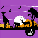 Animal Presentation (Keynote)