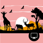 Animal Presentation (Power Point)