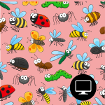 Parts of an Insect (Power Point)